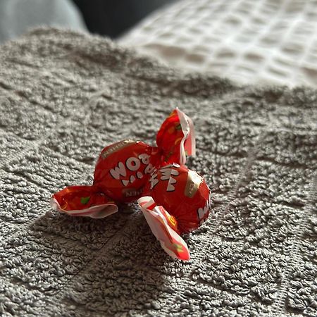 Neo - Trei - Cosy Studio Timişoara Eksteriør bilde